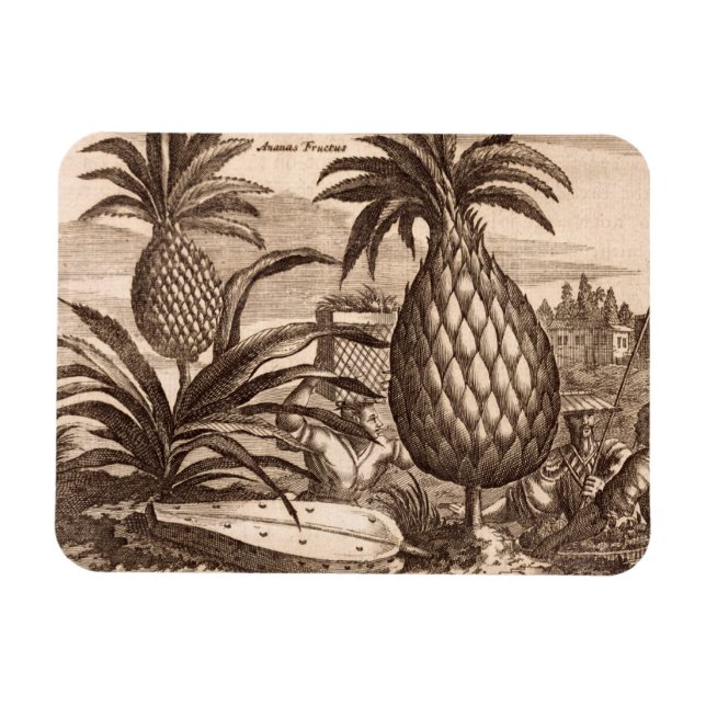 Magnet Flexible Agriculture de grands ananas, illustration d'un de (Horizontal)