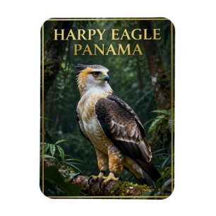 Magnet Flexible 🦅 Aigle Harpie Oiseau de la Forêt Tropicale de Pa