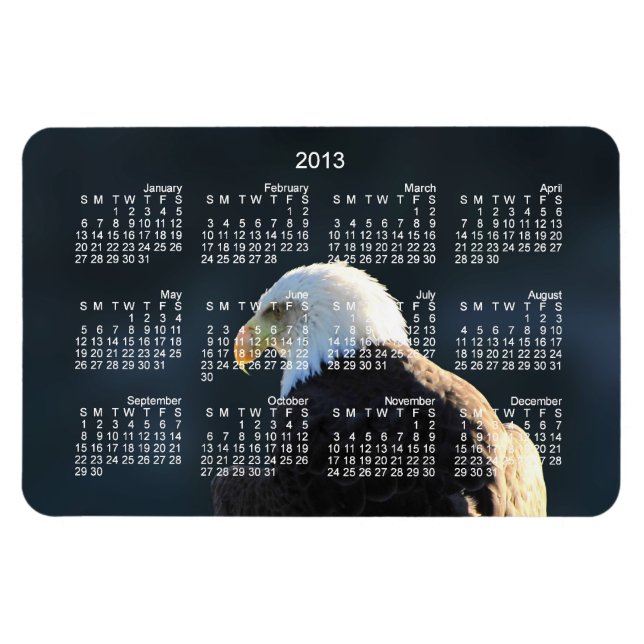 Magnet Flexible Aigle Lone Bald ; Calendrier 2013 (Horizontal)
