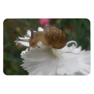 Magnet Flexible Aiguille de jardin et Aiguille Premium Carnation b