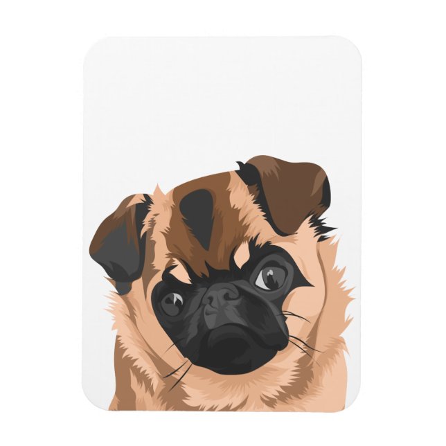 Magnet Flexible Aimant (Vertical)