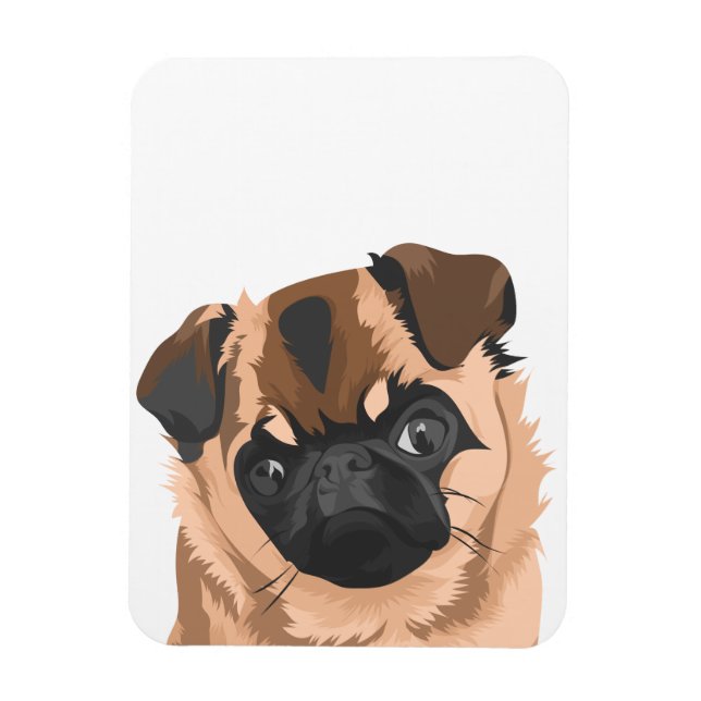 Magnet Flexible Aimant (Vertical)