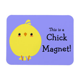 Magnet Flexible Aimant
