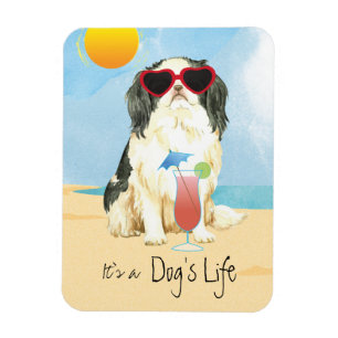 Magnet Flexible Aimant à chat japonais