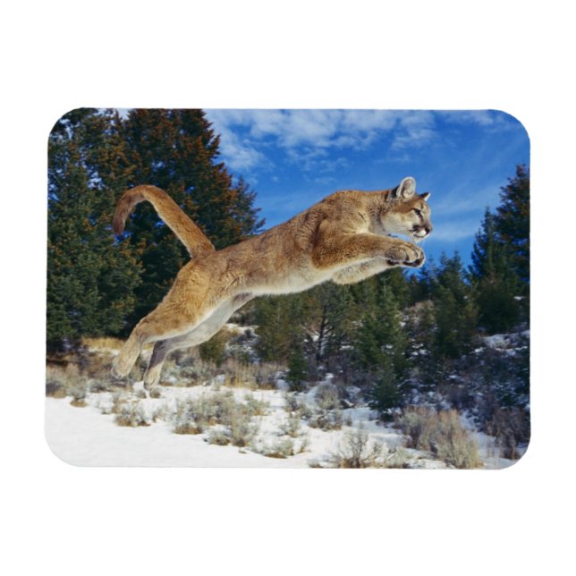 Magnet Flexible Aimant à sucre (Horizontal)