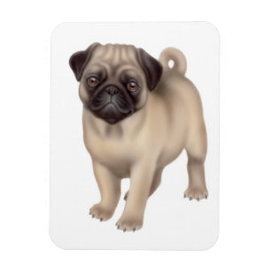 Magnet Flexible Aimant amical de prime de chien de carlin