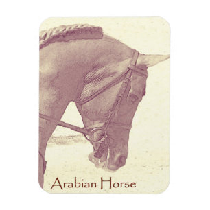 Magnet Flexible Aimant Arabian Horse