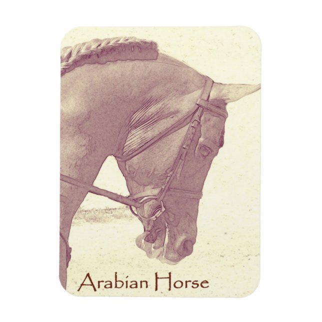 Magnet Flexible Aimant Arabian Horse (Vertical)