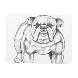 Magnet Flexible Aimant Bulldog