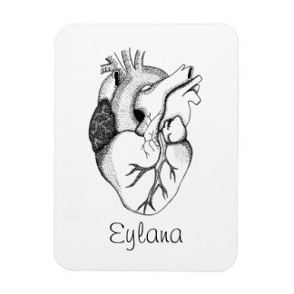 Magnet Flexible aimant cardiaque