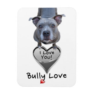 Magnet Flexible Aimant d'amour de despote de Pitbull