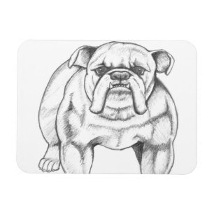 Magnet Flexible Aimant de bouledogue