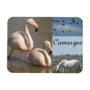 Magnet Flexible Aimant de Camargue
