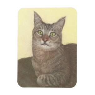 Magnet Flexible Aimant de chat Abyssinien