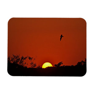 Magnet Flexible Aimant de coucher de soleil
