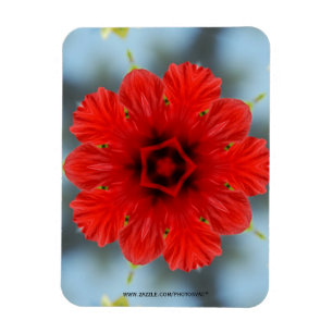 Magnet Flexible Aimant de couleur rouge