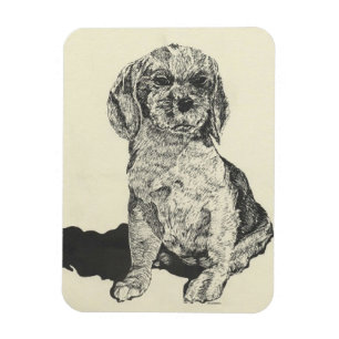 Magnet Flexible Aimant de cuisine, Cocker Spaniel