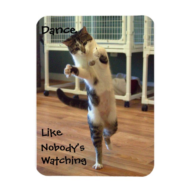 Magnet Flexible Aimant de danse de chat (Vertical)