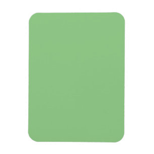 Magnet Flexible Aimant de décoration minimaliste vert sauge calme