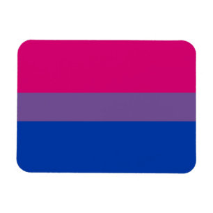 Magnet Flexible Aimant de drapeau de fierté de Bi (de la meilleur