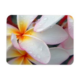 Magnet Flexible Aimant de fleurs de la Plumeria