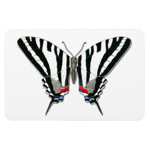 Magnet Flexible Aimant de Flexi de papillon de machaon de zèbre