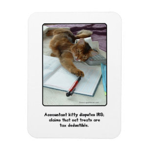 Articles Chat Hilare De Maison Decoration Zazzle Fr