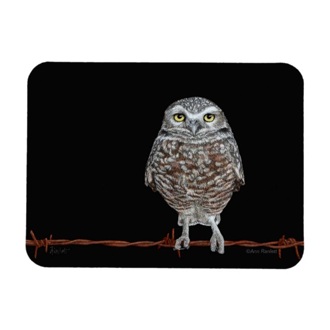 Magnet Flexible Aimant de la Chouette (Horizontal)