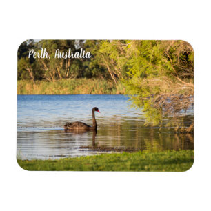 Magnet Flexible Aimant de l'Australie de cygne noir de Perth