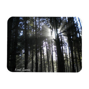 Magnet Flexible Aimant de lever de soleil de forêt