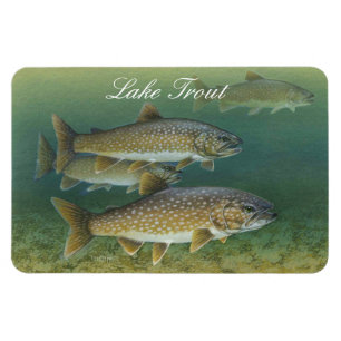 Magnet Flexible Aimant de peinture de truite du lac