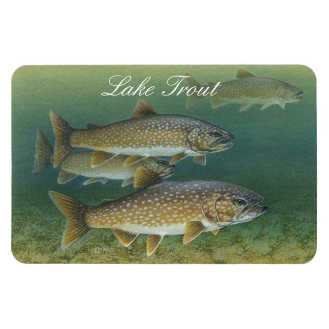 Magnet Flexible Aimant de peinture de truite du lac (Horizontal)