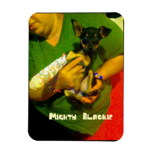 Magnet Flexible Aimant de photo de chiwawa