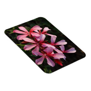 Magnet Flexible Aimant de photo de fleurs roses