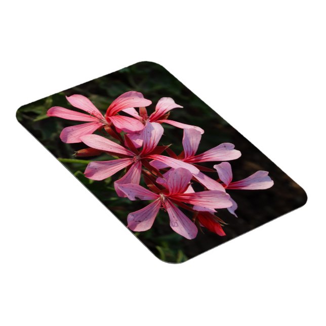 Magnet Flexible Aimant de photo de fleurs roses (Côté Droit)