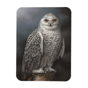 Magnet Flexible Aimant de photo de hibou de Milou