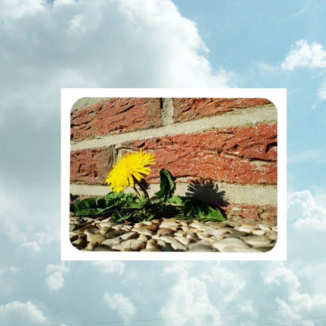 Magnet Flexible Aimant de pissenlit déterminé (Créateur téléchargé)