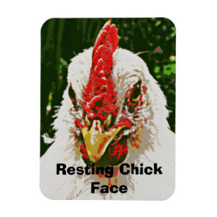 Magnet Flexible Aimant de poulet