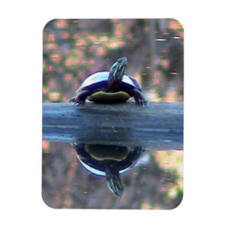 Magnet Flexible Aimant de réflexion de tortue (flexible)