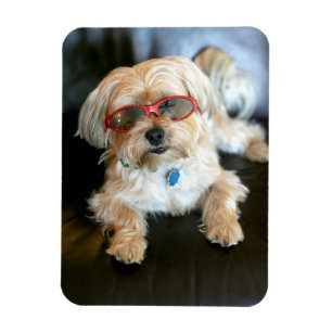 Magnet Flexible Aimant de réfrigérateur photo personnalisé