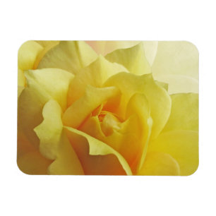 Magnet Flexible Aimant de rose jaune