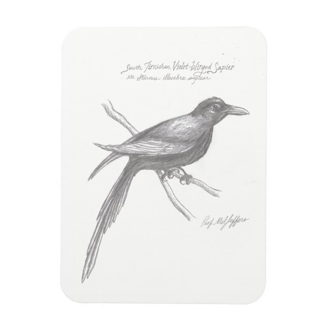 Magnet Flexible Aimant de saphir à ailes violettes du Tirnishan Su (Vertical)