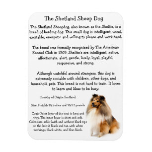 Magnet Flexible Aimant de Sheltie