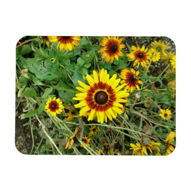 Magnet Flexible Aimant de tournesol (Horizontal)