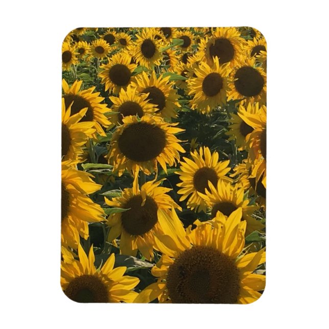 Magnet Flexible aimant de tournesol (Vertical)
