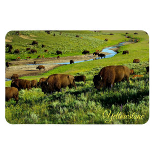 Magnet Flexible Aimant de Yellowstone