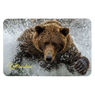 Magnet Flexible Aimant de Yellowstone-Ours