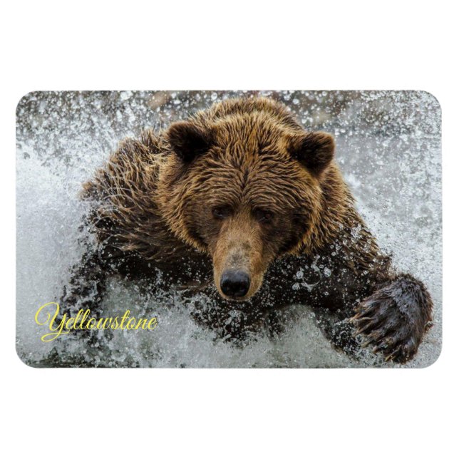 Magnet Flexible Aimant de Yellowstone-Ours (Horizontal)