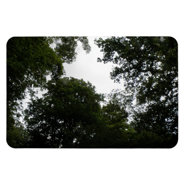 Magnet Flexible Aimant déplaisant Forest Premium (Horizontal)