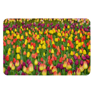 Magnet Flexible Aimant d'impression coloré des tulipes à ressort